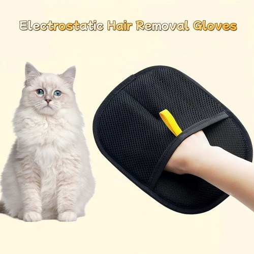 Pet hair removal - glove, cat