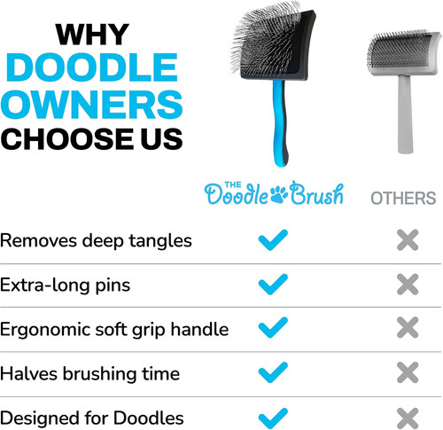 The doodle brush - the,