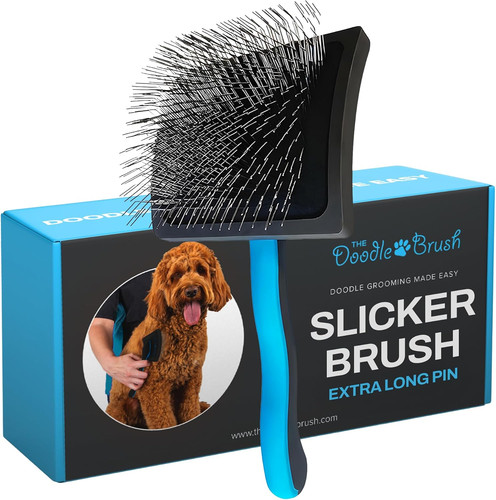 The doodle brush slicker dog - the,