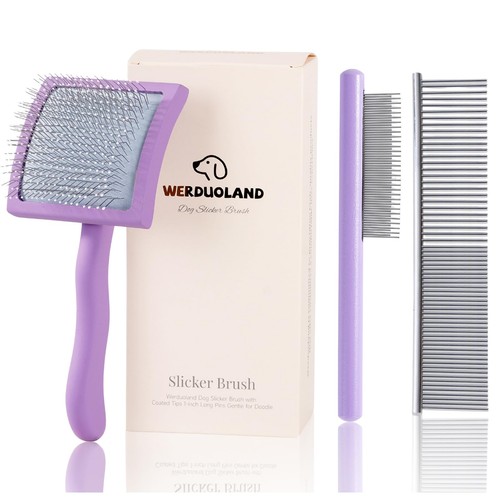 Werduoland gently grooming - werduoland,