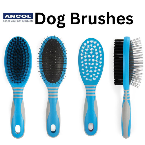 Ancol ergo dog - dog, grooming